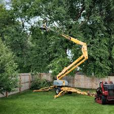 Best Tree Disease Treatment  in Glenwood City, WI