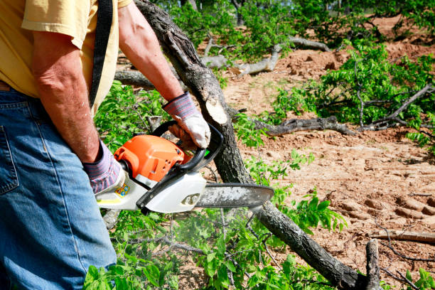 Best Lawn Maintenance Plans  in Glenwood City, WI